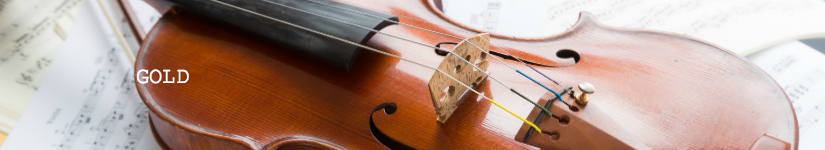 GOLDプラン/Nesteg Arts音楽制作部門