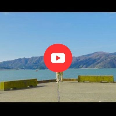 なにやってんだろうな/カメ太郎