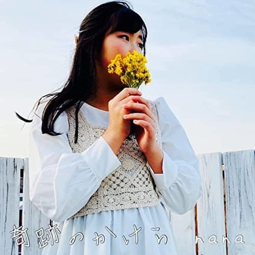 奇跡のかけら / nana