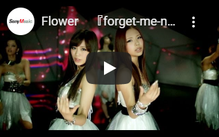 forget-me-not~ワスレナグサ/Flower